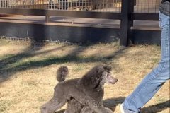 Nice mover!