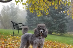 Enjoying the Fall Colors