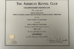 Champion Certificate